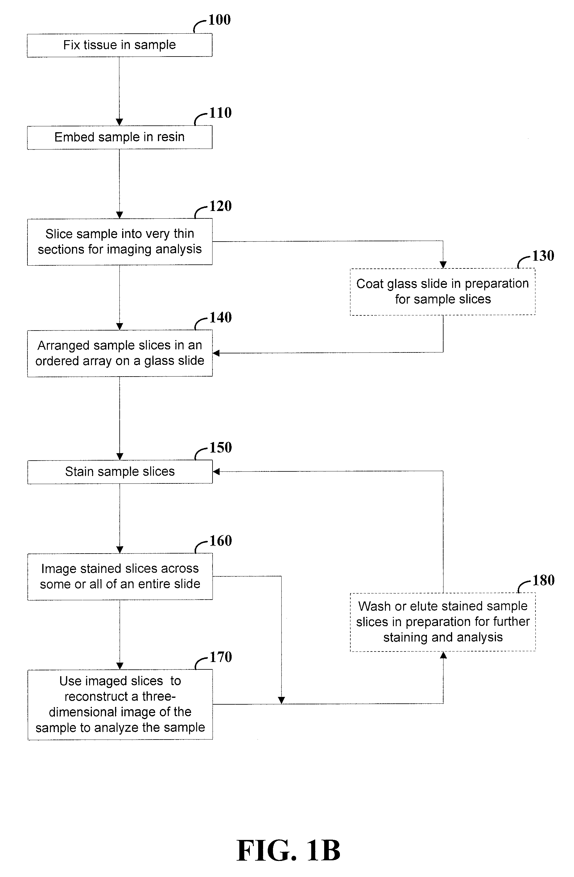 Arrangement and imaging of biological samples