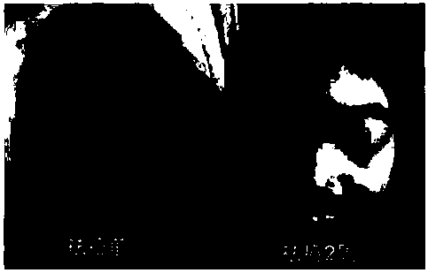 Skin damaged barrier repairing hydrating mask and preparation method thereof