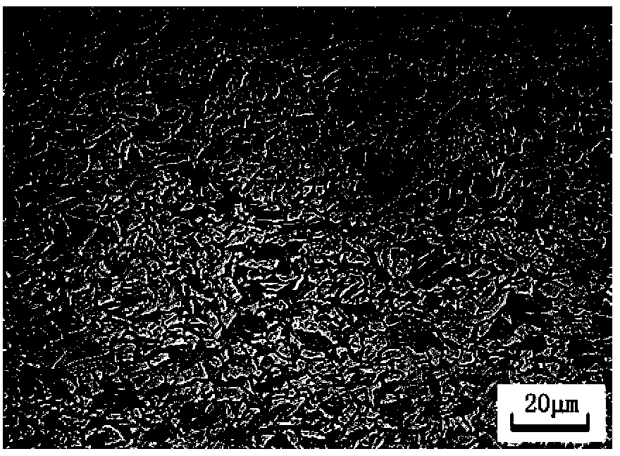 Hot-rolled dual-phase steel in 590MPa tensile strength grade and method for manufacturing hot-rolled dual-phase steel