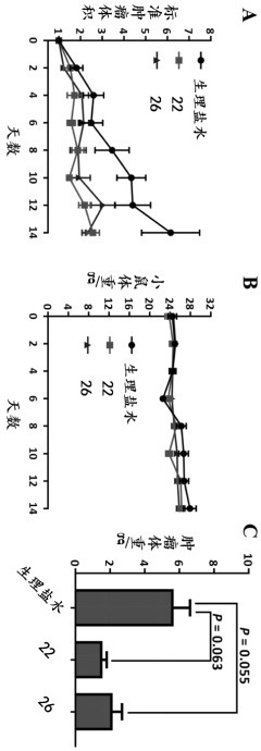 Application of small molecule compound in preparation of urokinase receptor inhibitor medicine