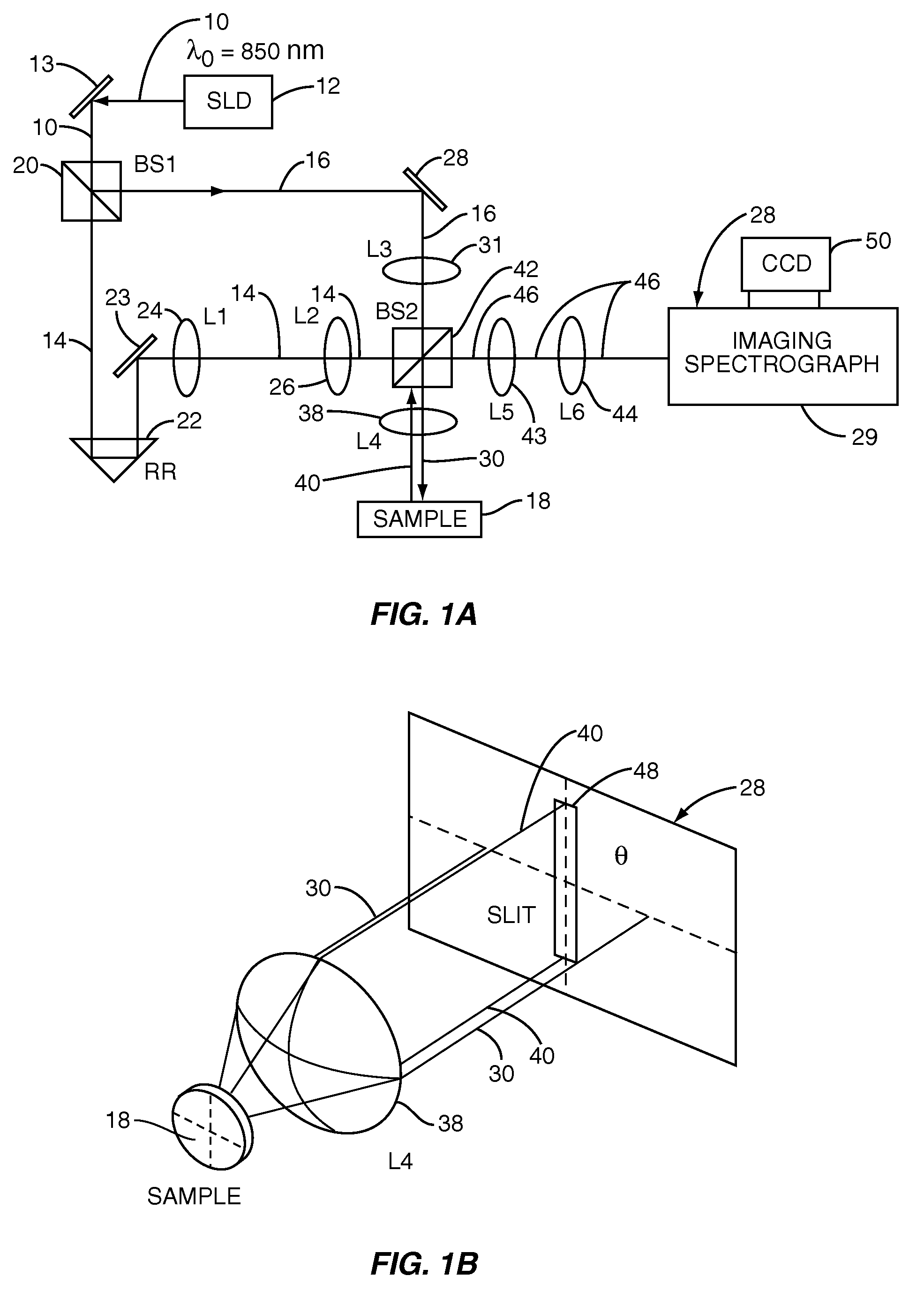 Systems and methods for endoscopic angle-resolved low coherence interferometry