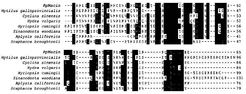 Antifungal gene, polypeptide and recombinant protein as well as preparation method and application thereof