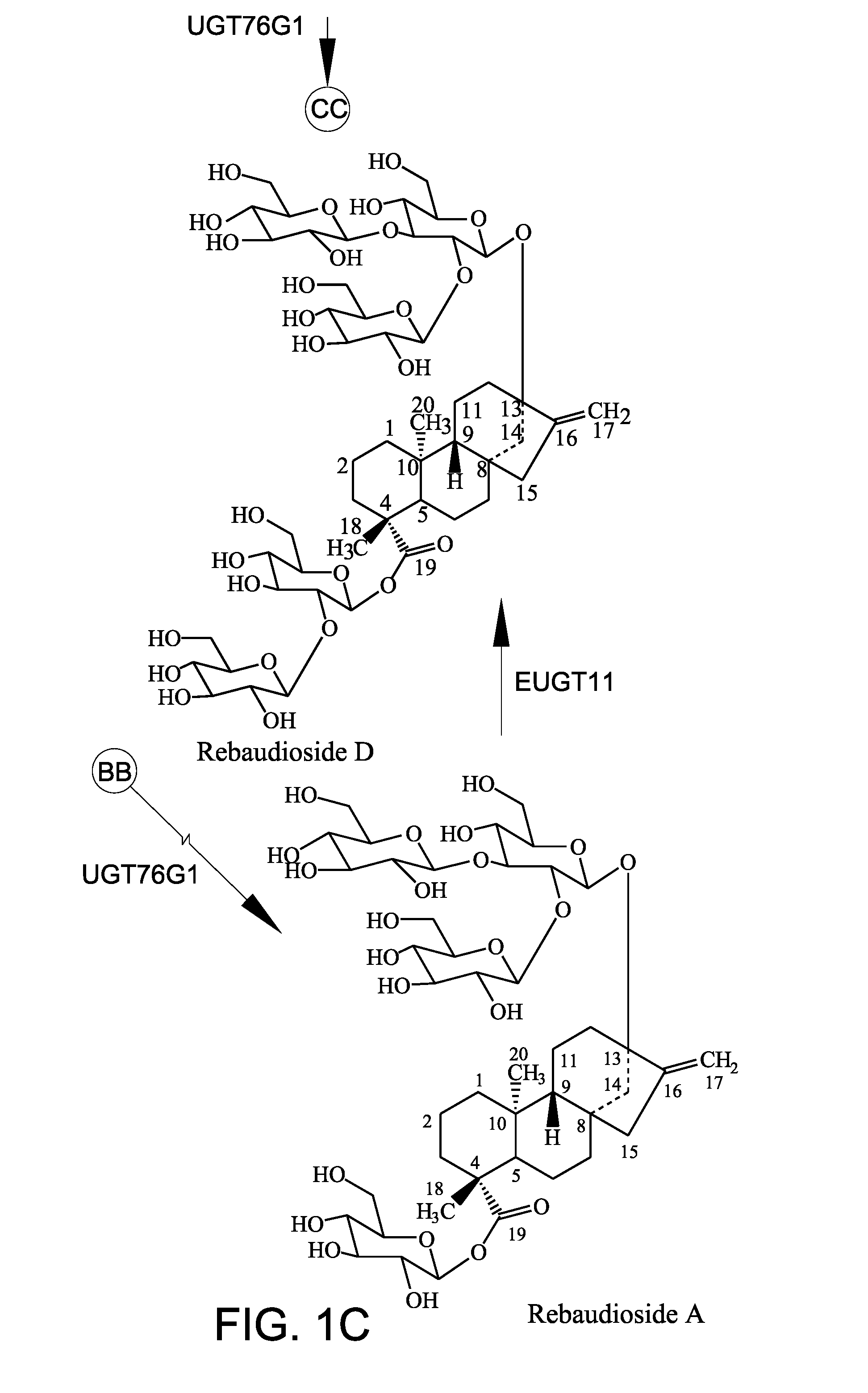 Non-caloric sweetener