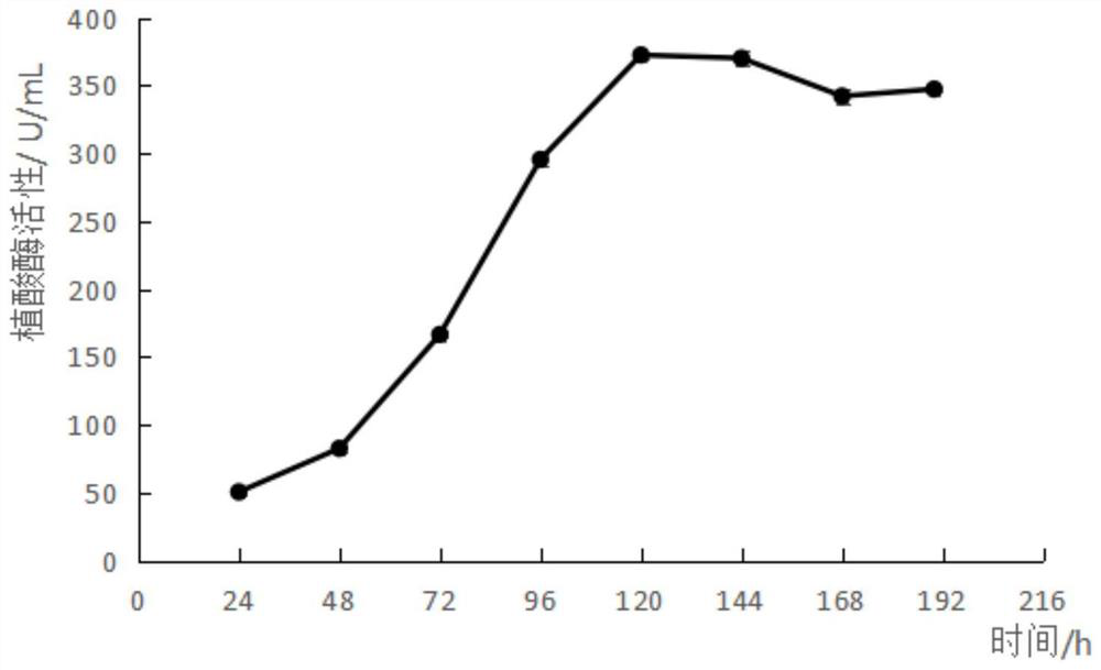 Bacillus megatherium and application of fermentation liquor of bacillus megatherium to promoting plant germination