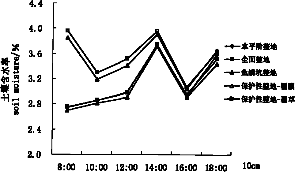 Method for cultivating Swedish energy willows through protective soil preparation mode