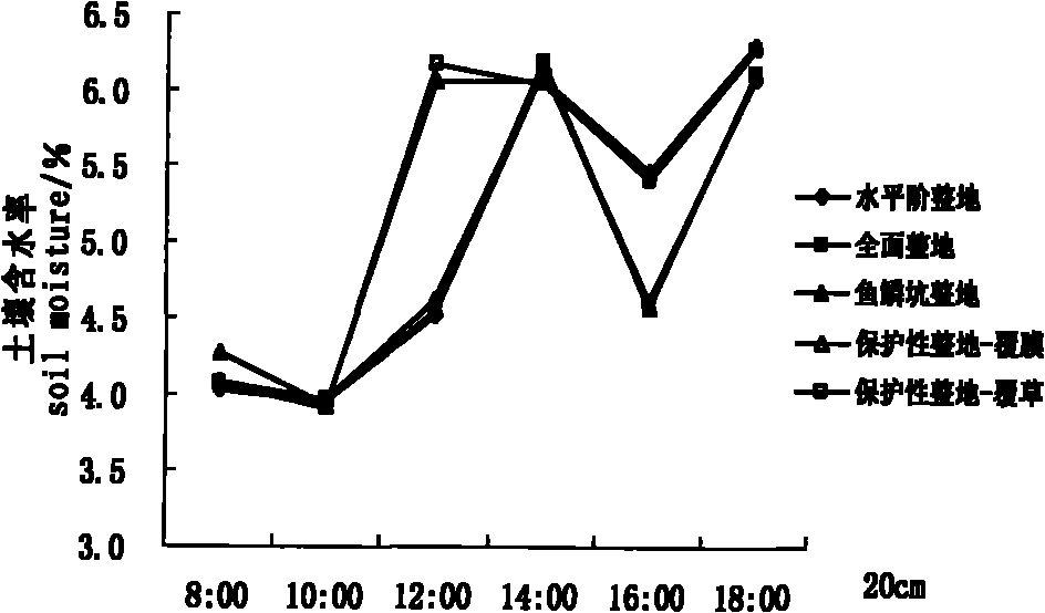 Method for cultivating Swedish energy willows through protective soil preparation mode