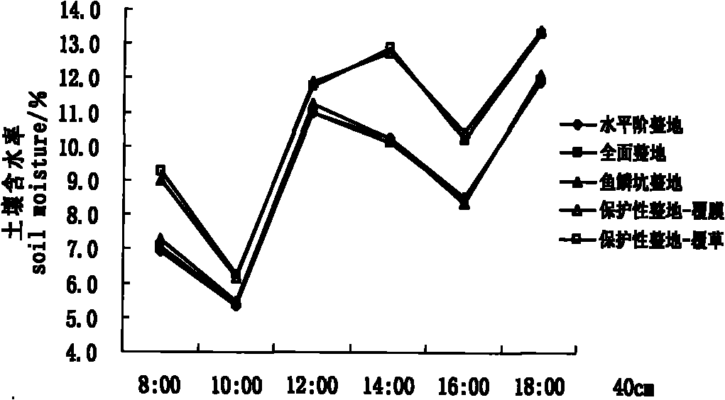 Method for cultivating Swedish energy willows through protective soil preparation mode