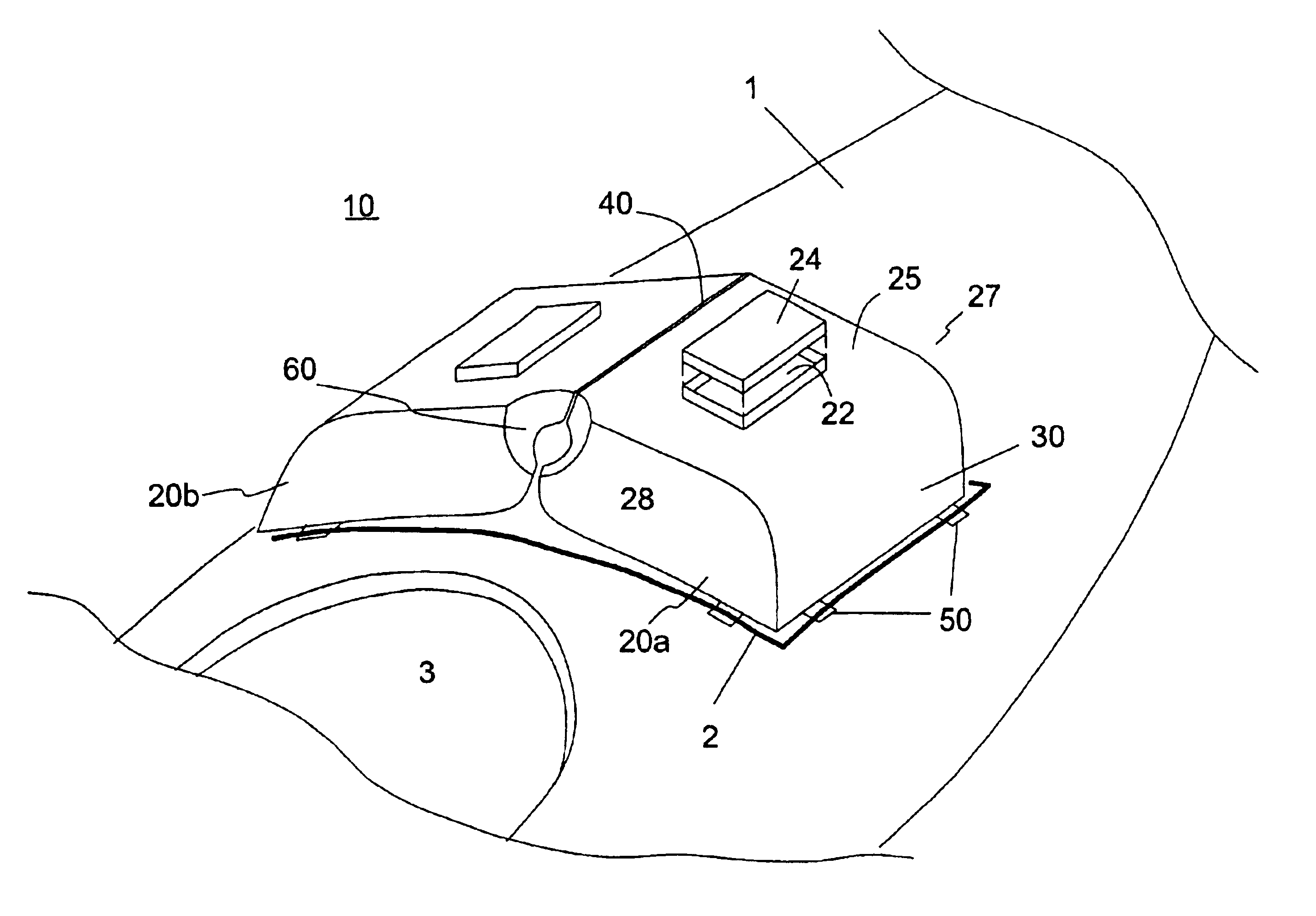 Kayak storage cooler