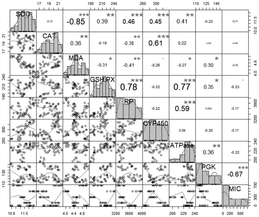 Method for detecting and evaluating levofloxacin environmental risk by using paramecium biomarkers and IBR