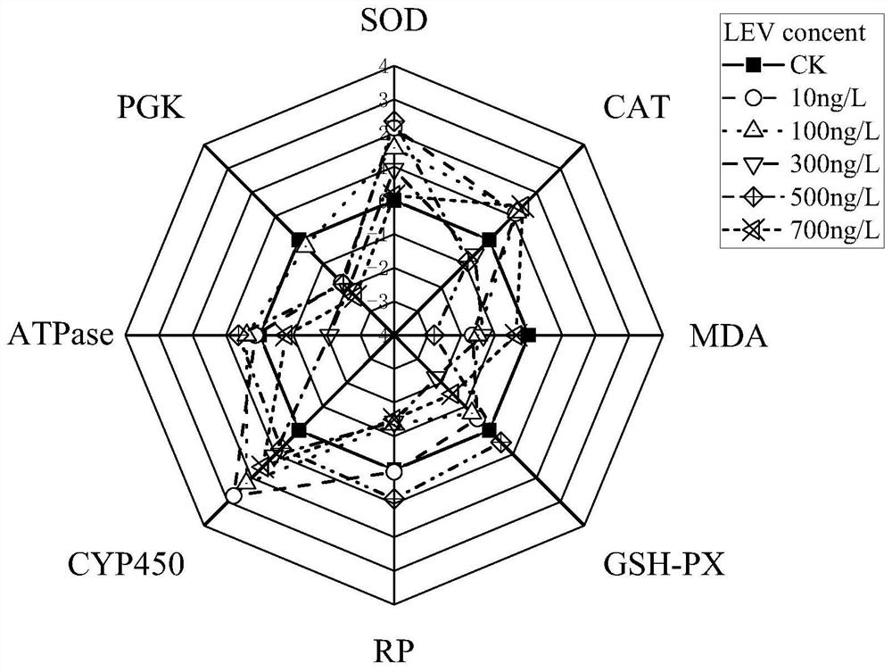 Method for detecting and evaluating levofloxacin environmental risk by using paramecium biomarkers and IBR