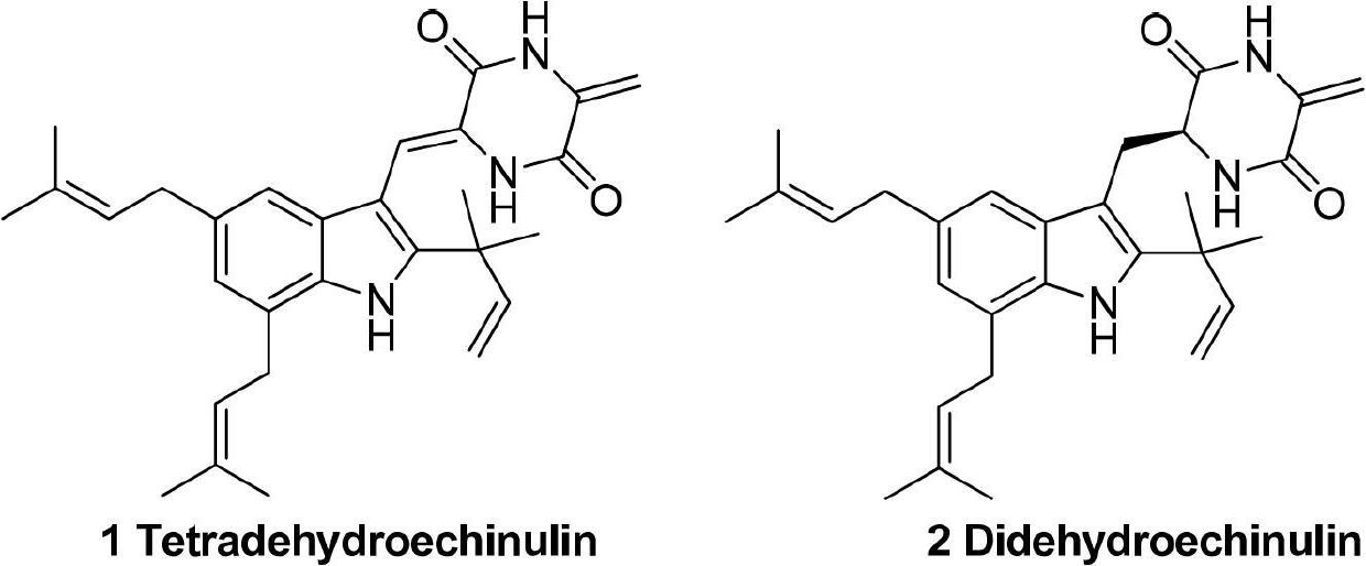 Application of indole diketopiperazine derivatives