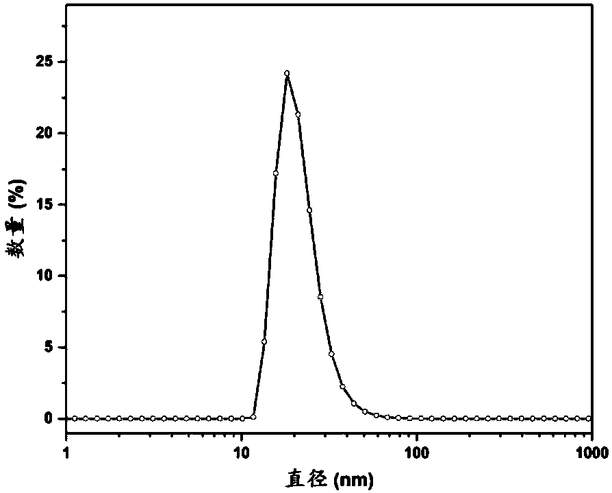 Amphiphilic polymer nano micelle containing ferric ions chelated with polydopa amino acid and application thereof