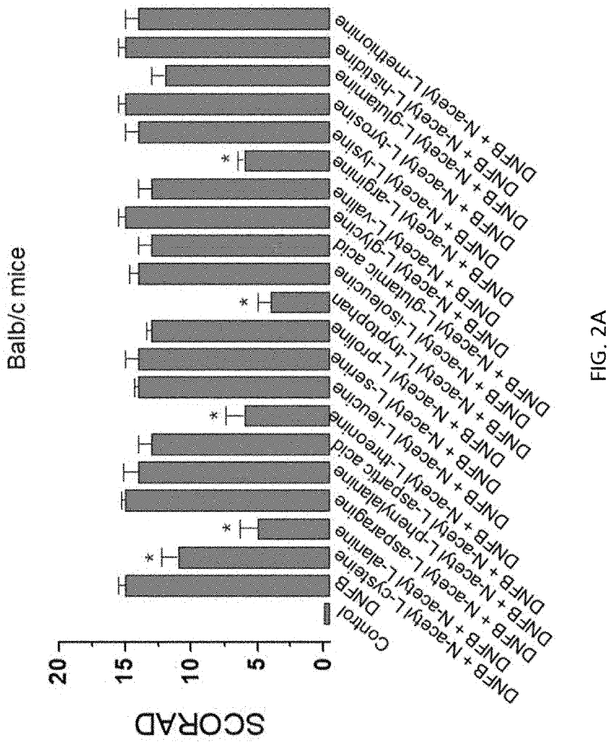 Composition for treating atopy or pruritus comprising n-acetyl or n-acyl amino acid