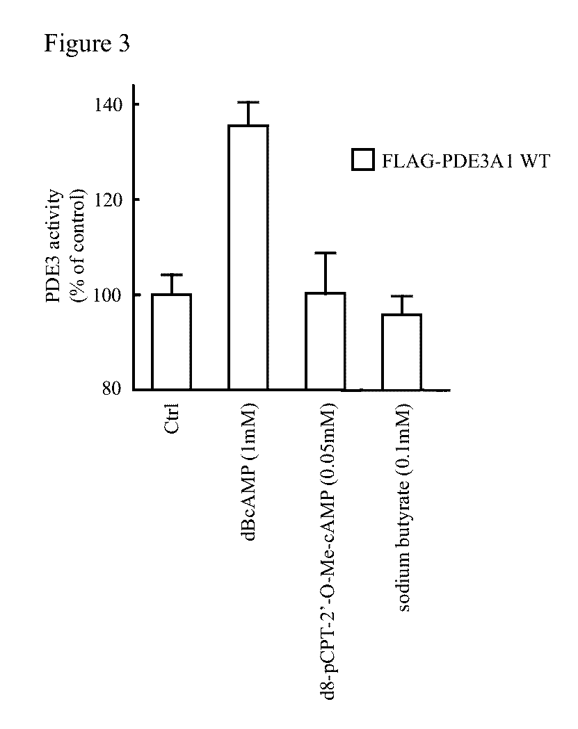 Isoform-selective inhibitors and activators of PDE3 cyclic nucleotide phosphodiesterases