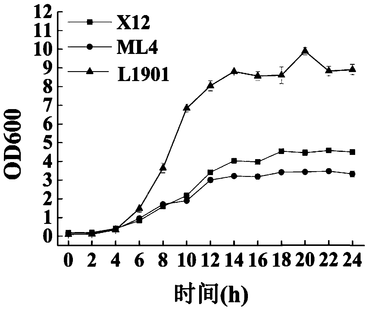 Method for reducing biogenic amine through cyclic rice soaking by inoculating lactobacillus plantarum not generating biogenic amine