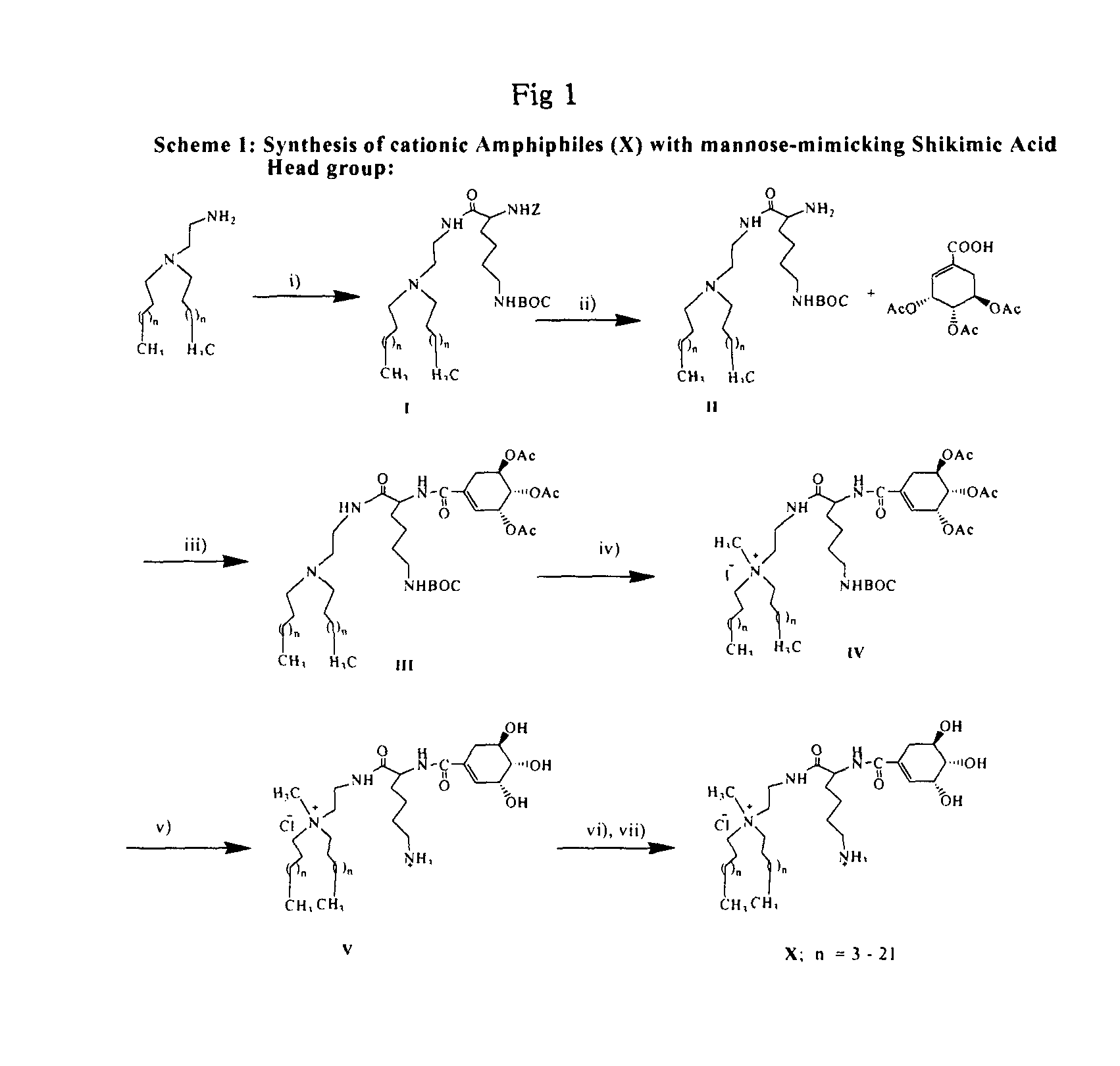 Cationic amphiphiles with mannose-mimicking head-groups and a process for the preparation thereof