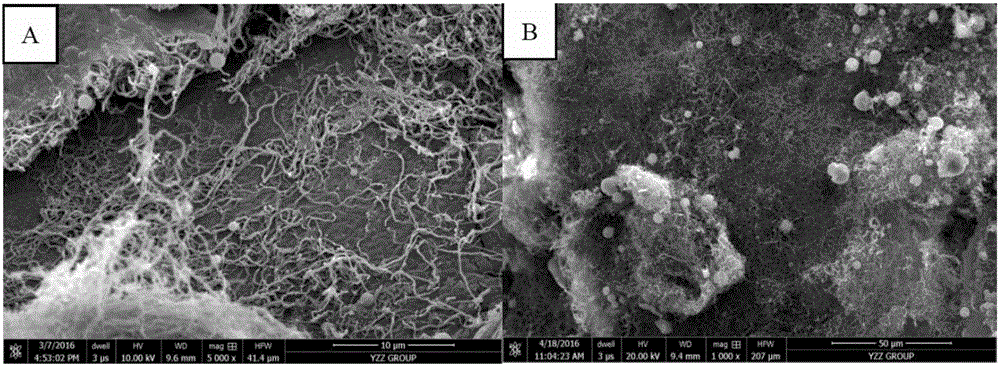 Rapid cationic polymerization method for preparation of hydrophobic oleophylic composite material and application