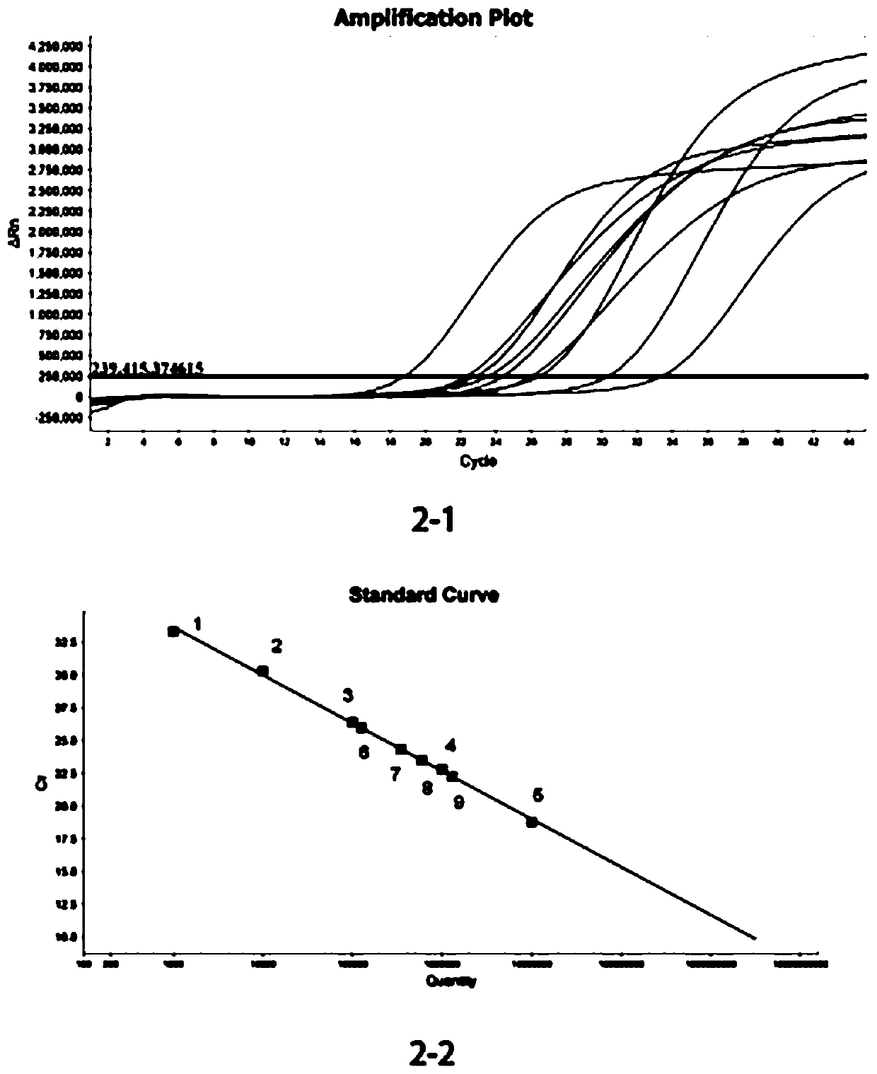 Orf virus attenuated strain and application thereof