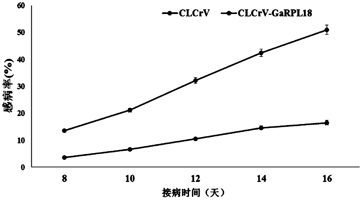 Cotton verticillium wilt resistance related protein garpl18 and its coding gene and application