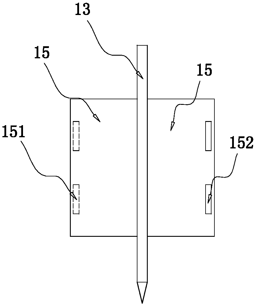 Rice seedling fixer and field placing device