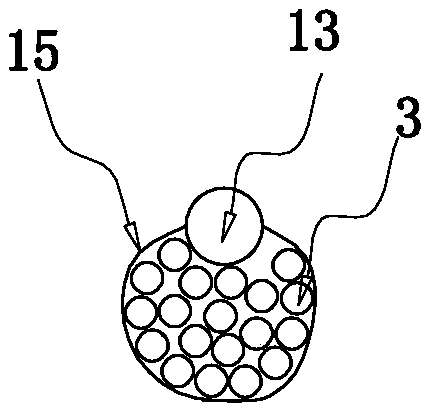 Rice seedling fixer and field placing device