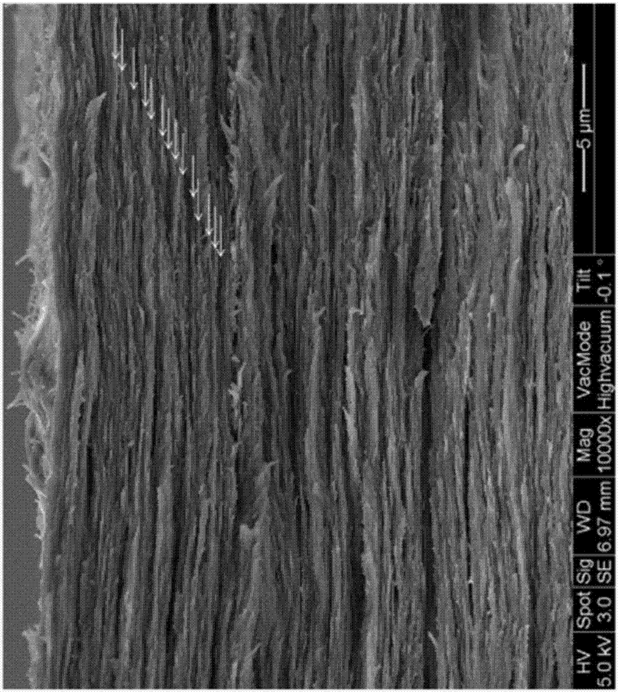 Membrane for protecting intraocular tissues and the protection methods used thereof