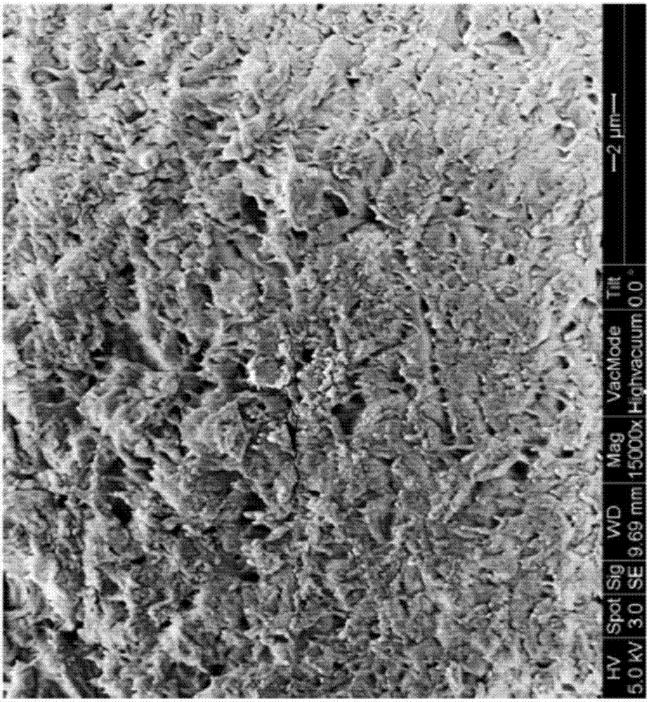 Membrane for protecting intraocular tissues and the protection methods used thereof