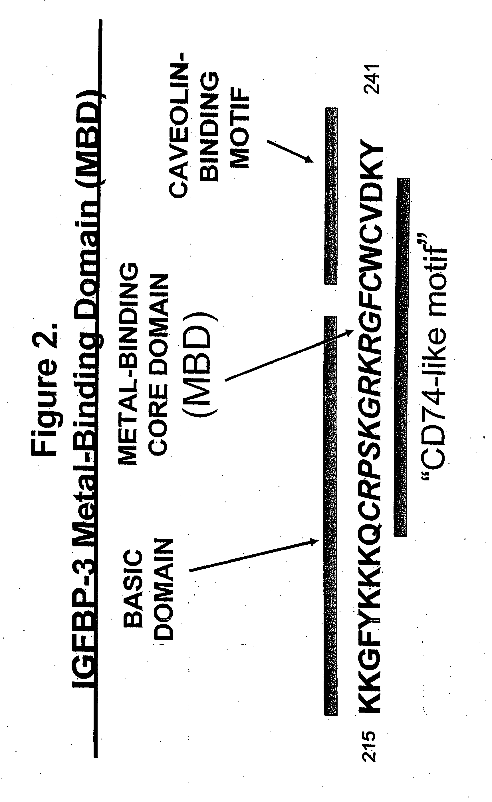 Metal-binding therapeutic peptides