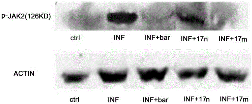 JAK kinase inhibitor containing 4-aminopyrazole structure, preparation method and application thereof