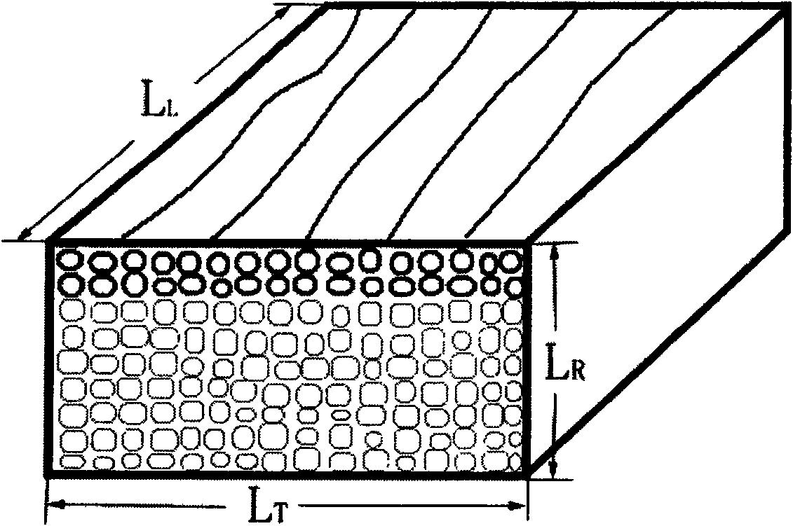 Real-time detection system for wood microstructure characteristic changes