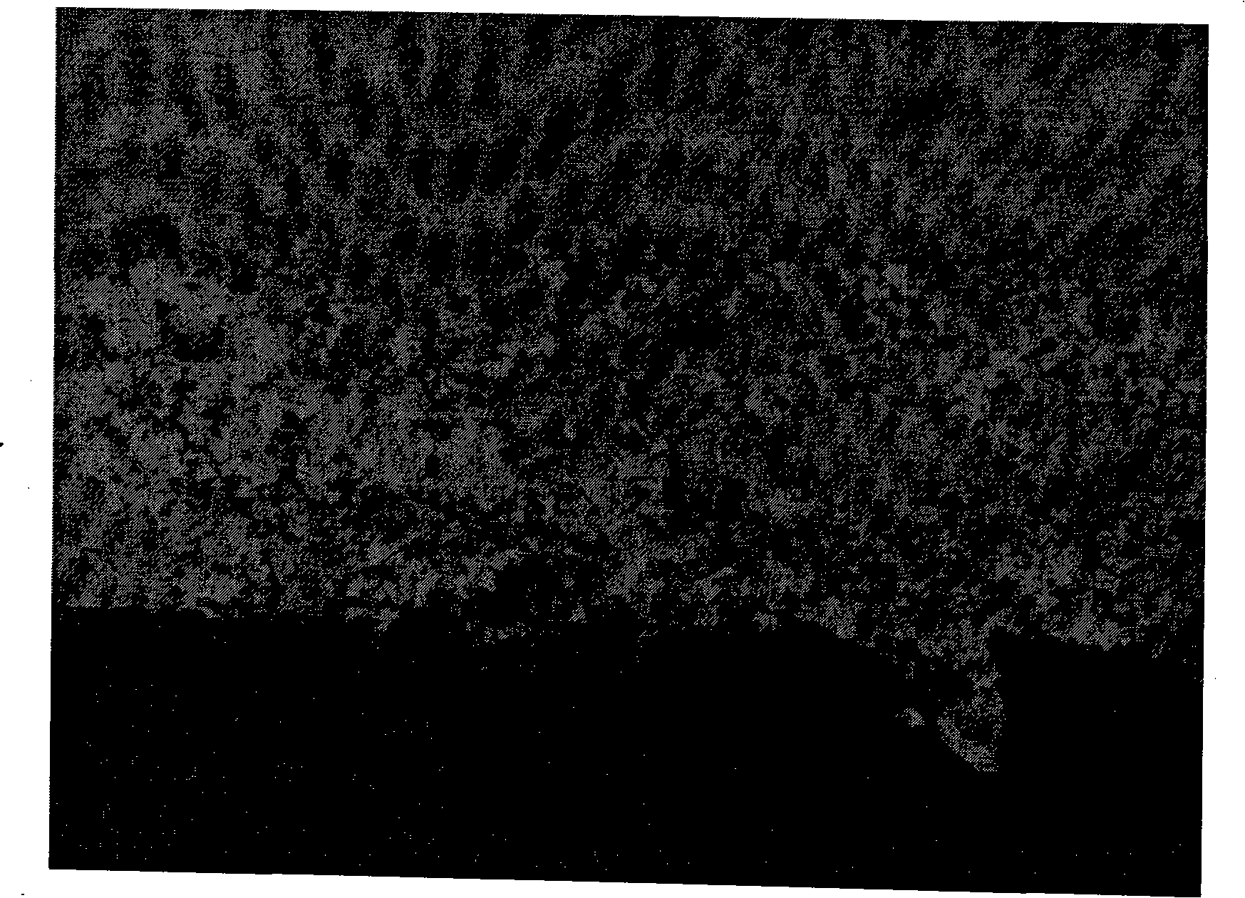 Active solder and preparation method thereof