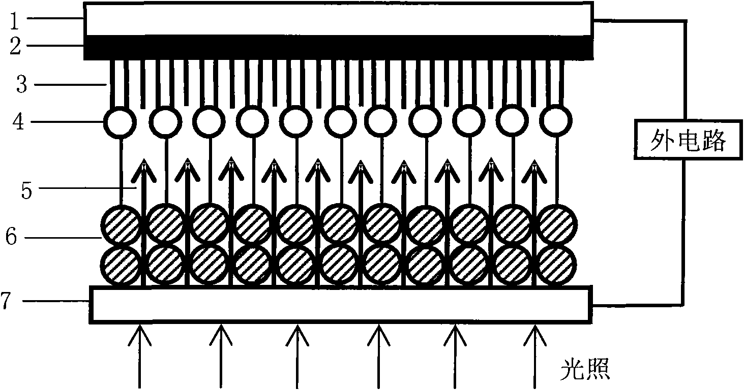 Graphene composite dye-sensitized solar cell light anode and preparation method thereof