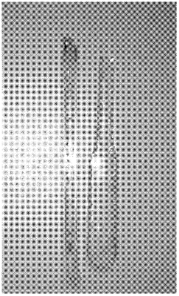 Method for eliminating bubbles in organic silicone resin cast body