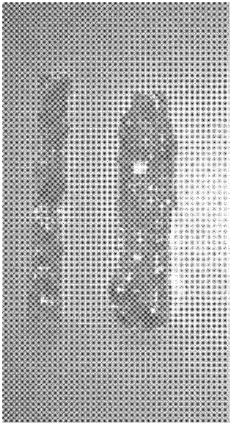 Method for eliminating bubbles in organic silicone resin cast body