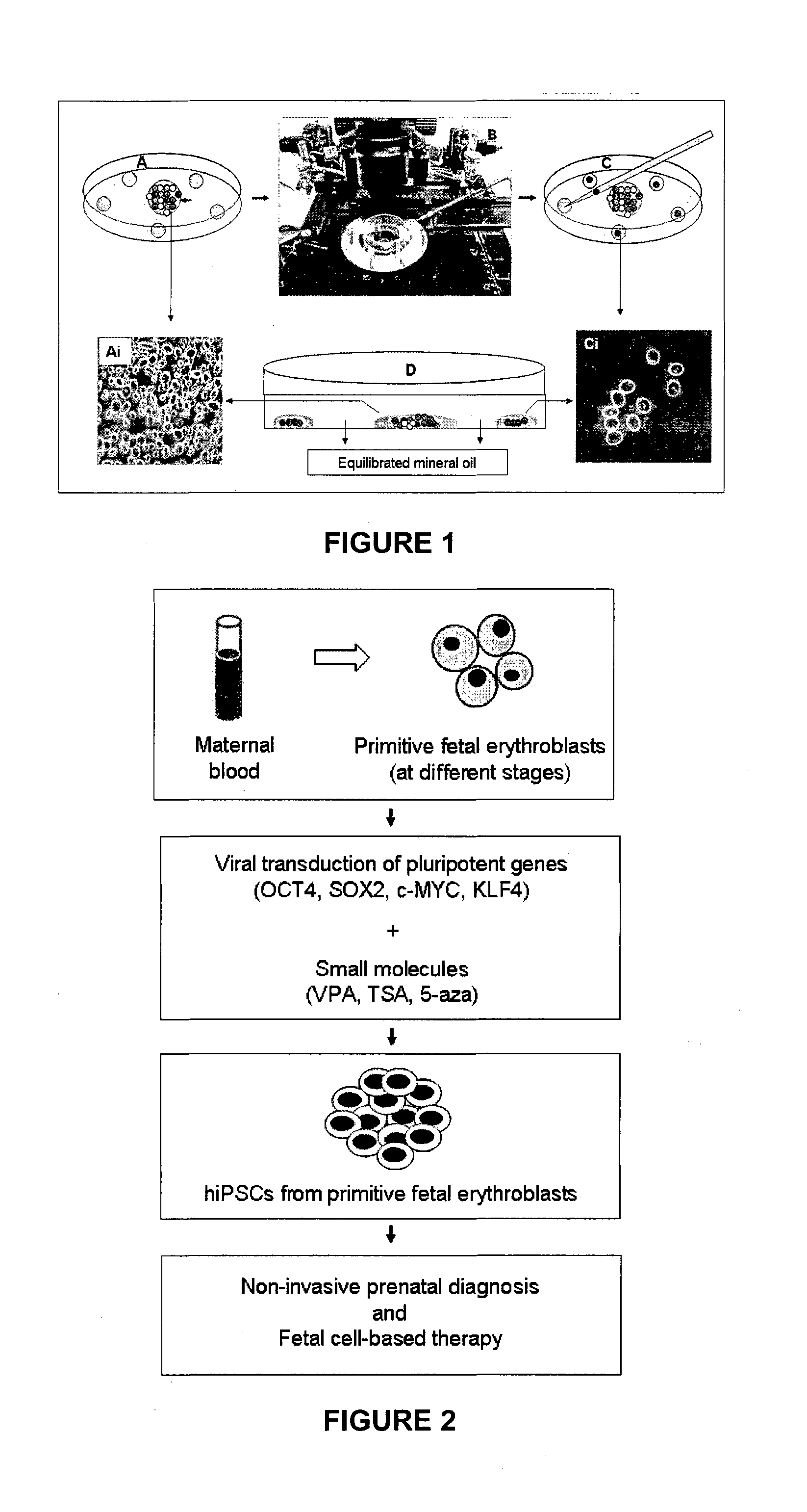 Method of identifying, isolating and/or culturing foetal erythroblasts