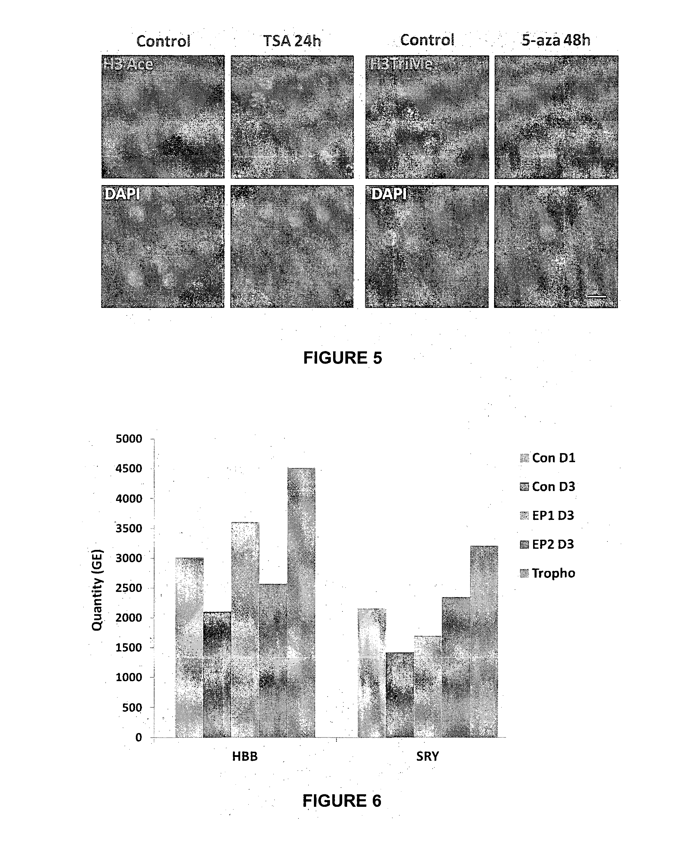 Method of identifying, isolating and/or culturing foetal erythroblasts