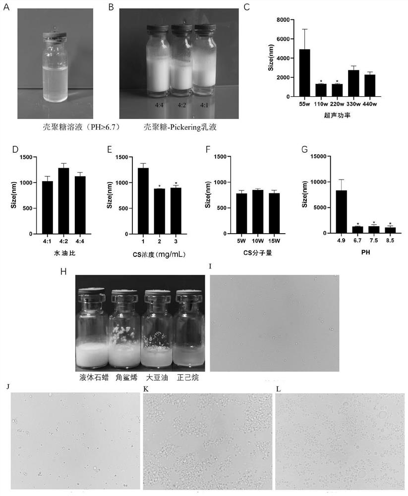 Preparation method and application of chitosan-Pickering emulsion interleukin 12 adjuvant system