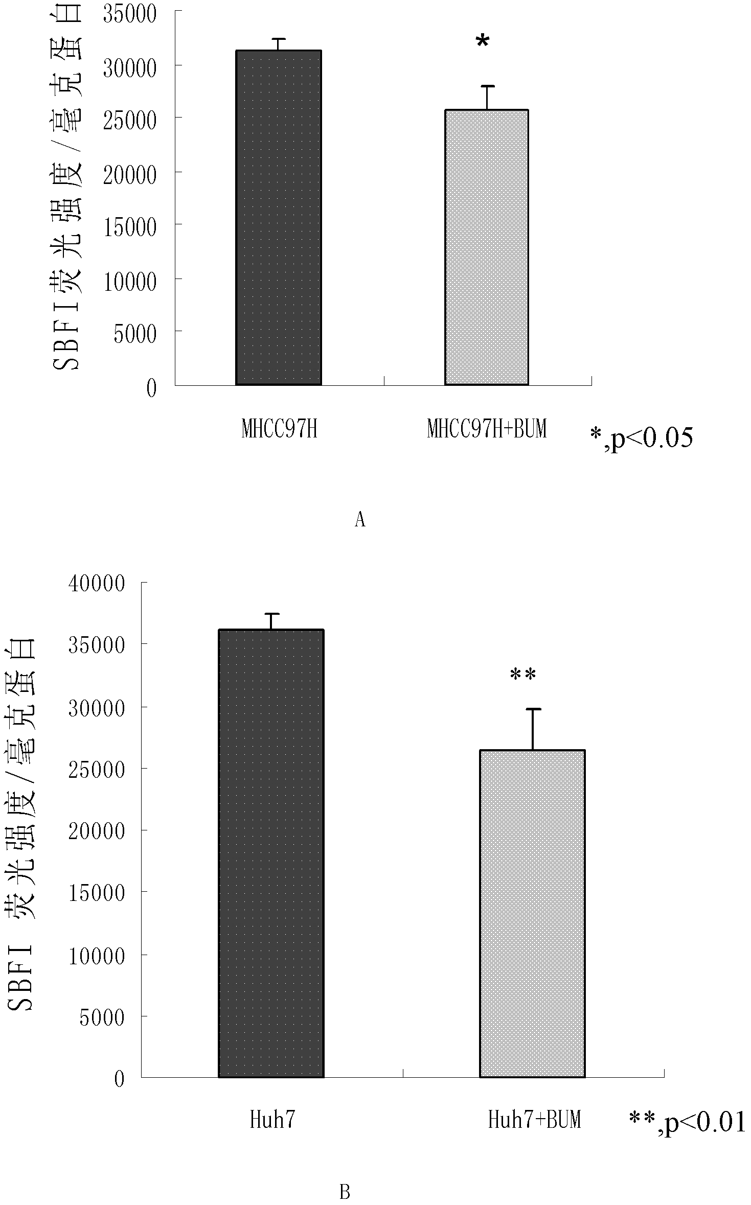 Application of bumetanide in inhibition of hepatoma cell transfer