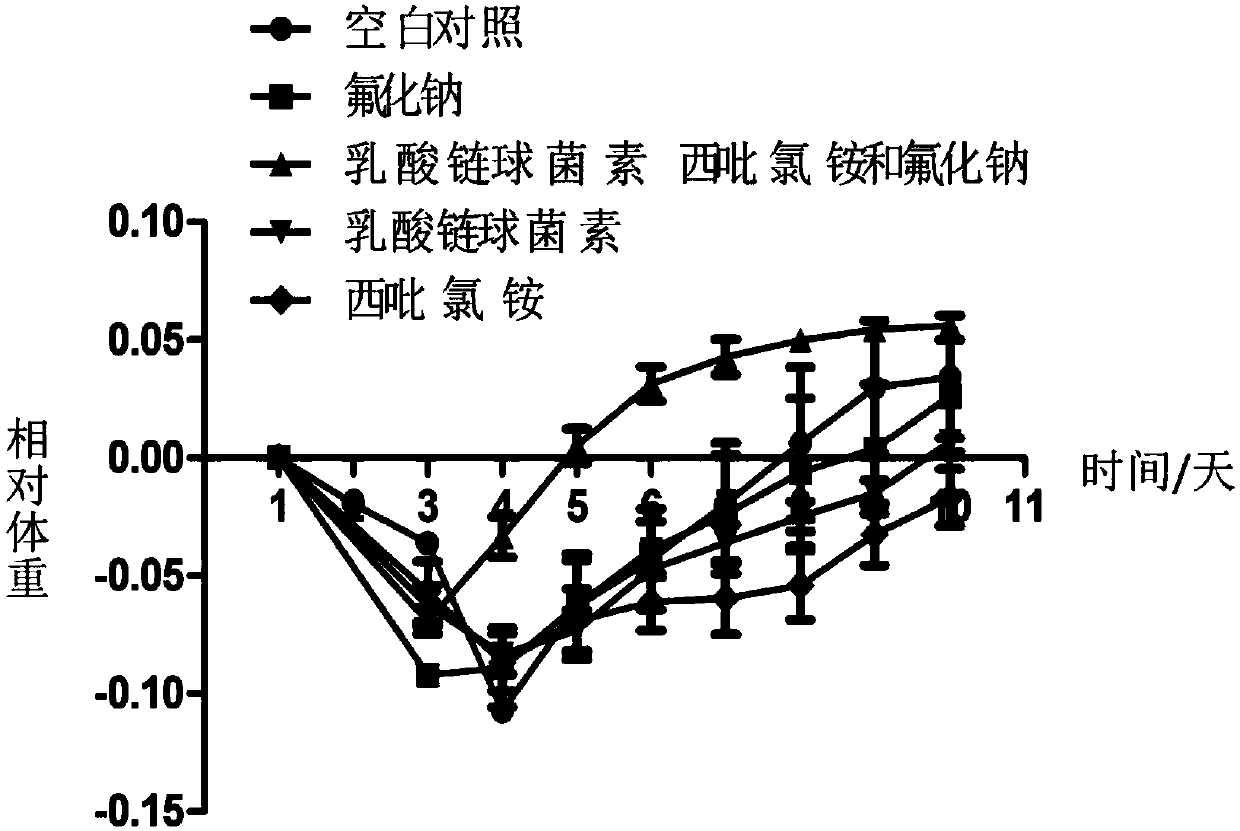 Preparation and application of nisin, cetylpyridinium chloride and sodium fluoride mouthwash