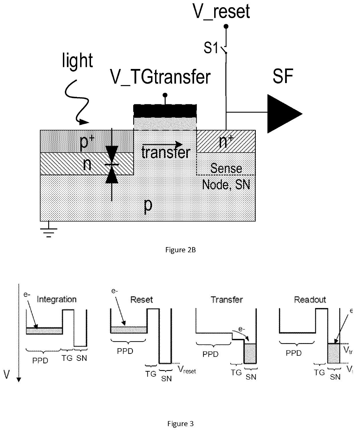 Health monitoring device