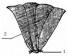 Preparation method of self-made mesh plug for laparoscopic complete extraperitoneal hernia repair