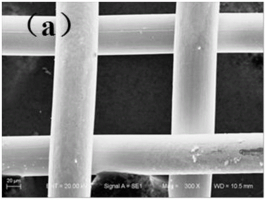 Preparation method of bionic oil-water separation copper net