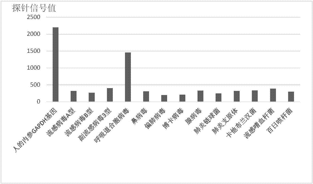 Suspension microbead array system for detecting common pathogens of respiratory tract infection