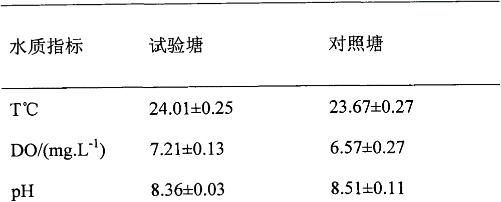 A system and method for racetrack biofloculation of shrimp