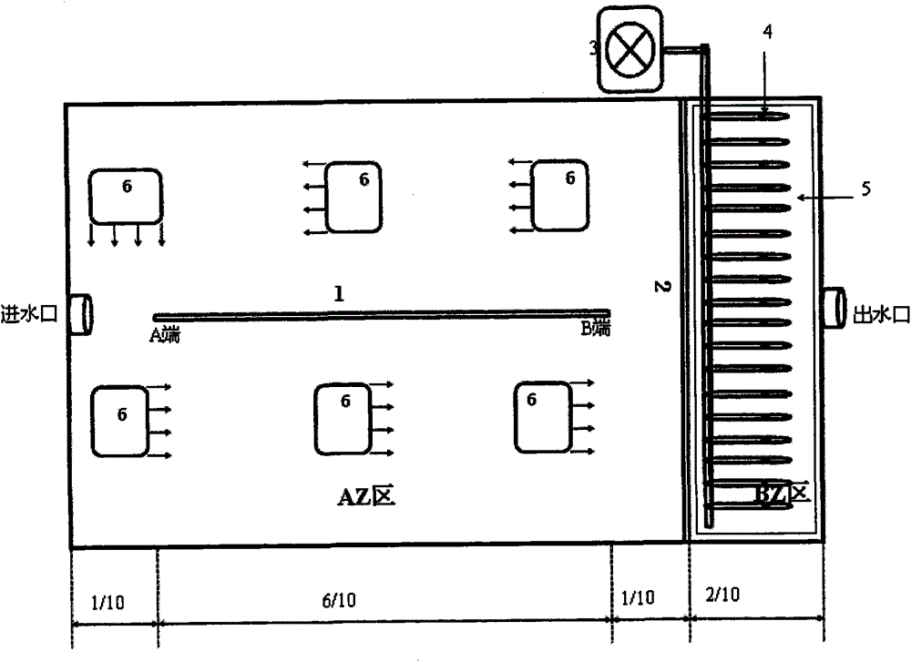 A system and method for racetrack biofloculation of shrimp