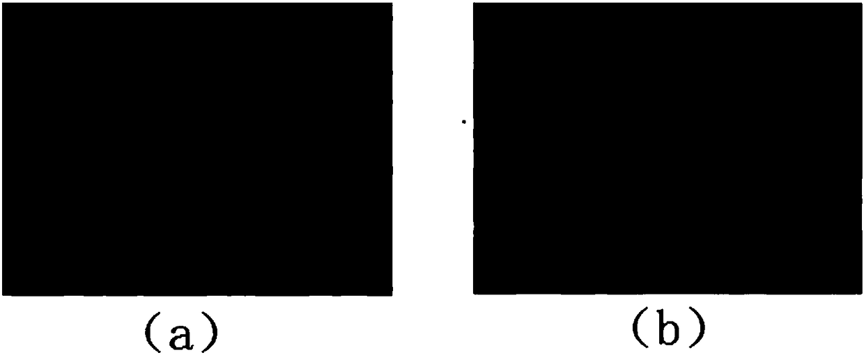 Intestinal probiotic agent for feeding and production method thereof