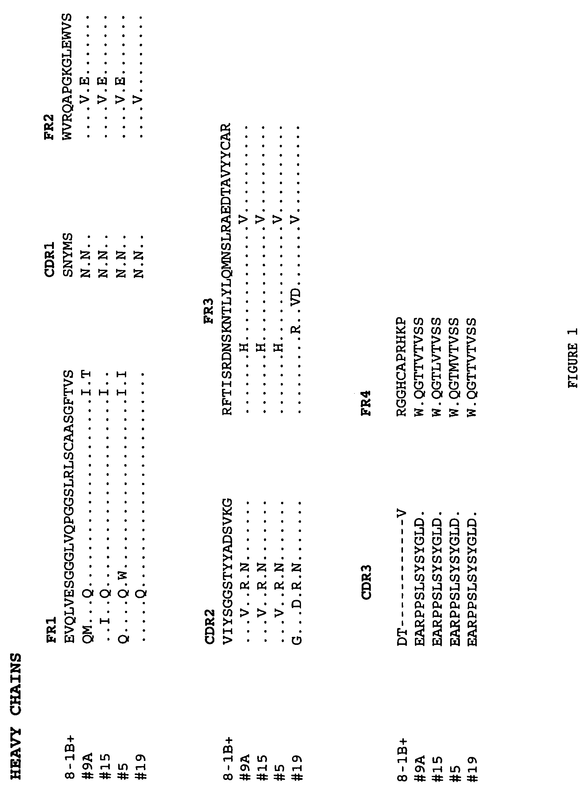 Humanized antibody