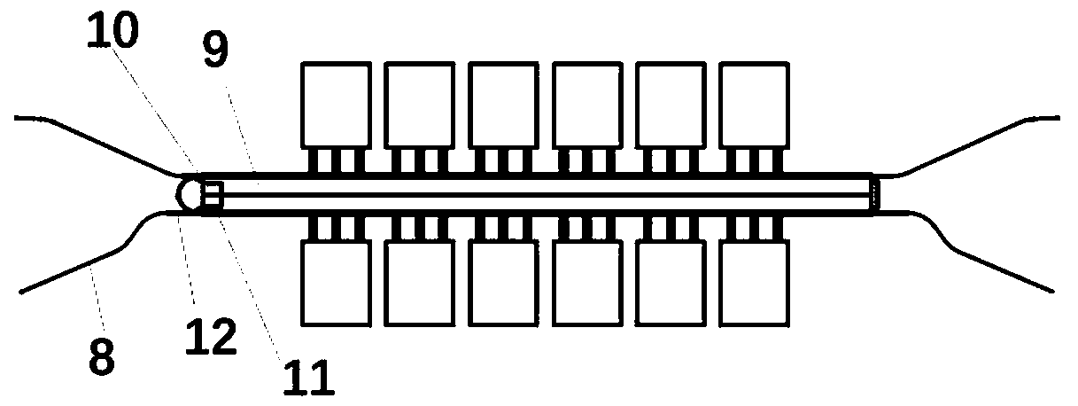 Zipper-type skin suture apparatus