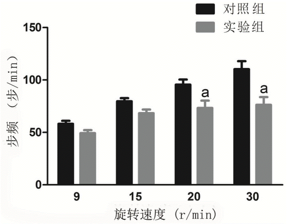 Rat behavior infrared identification system, using method and application thereof