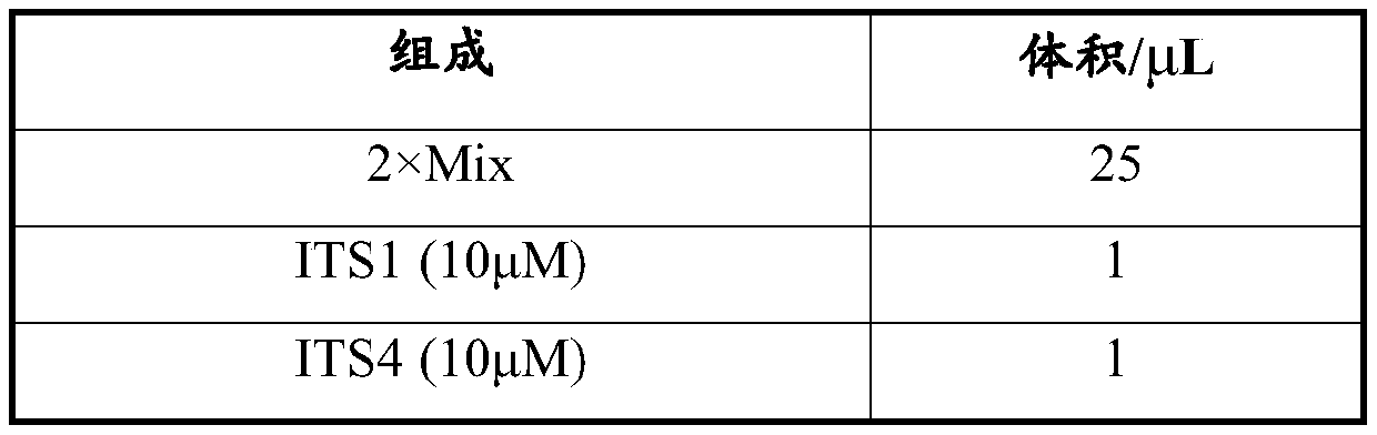 Application of Mucor circinelloides in degradation of lambda-cyhalothrin